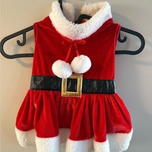 Festive Red Santa Dog Costume with Belt dog dress